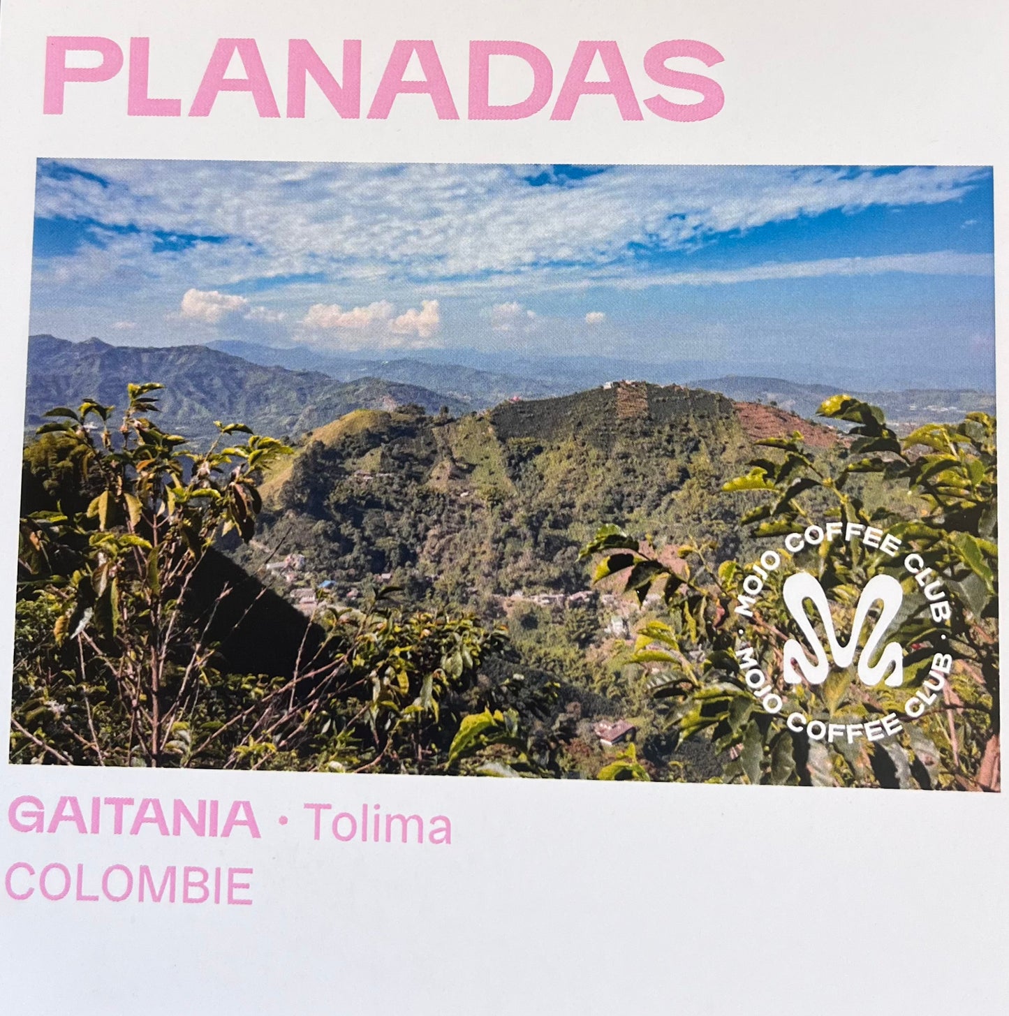 PLANADAS 🍋
